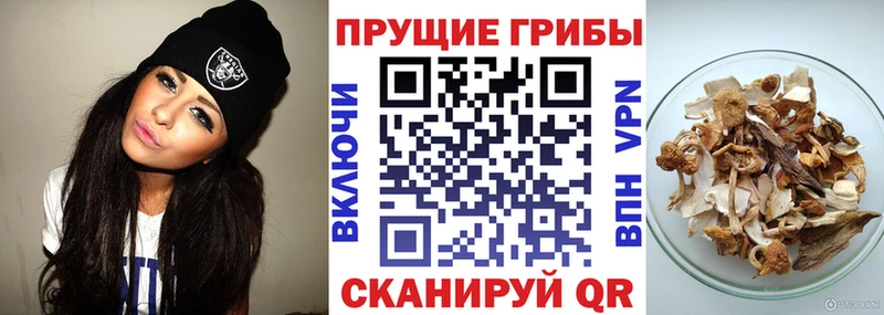 Галлюциногенные грибы Magic Shrooms  Балашиха 