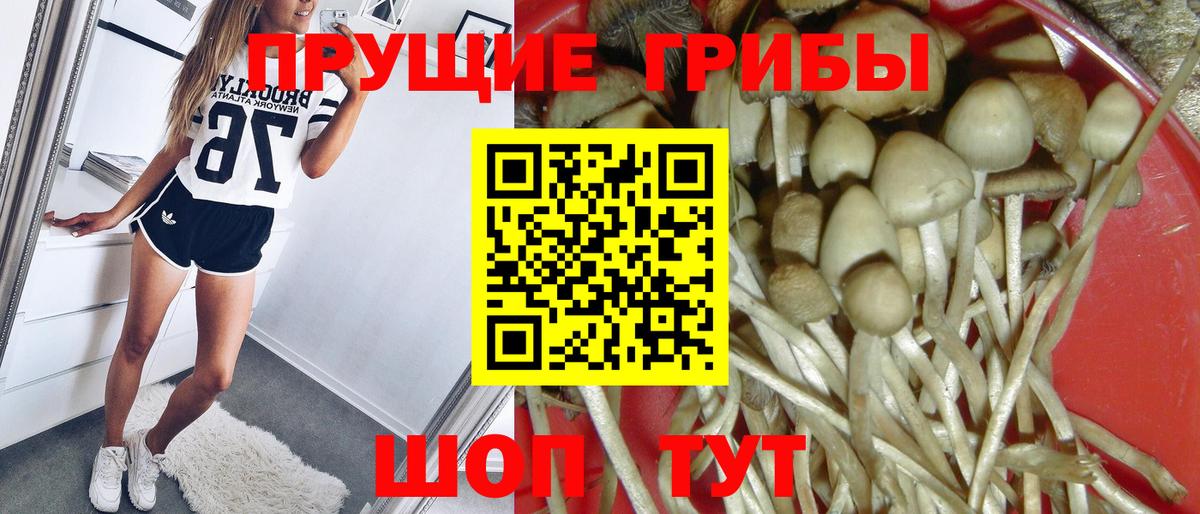 Галлюциногенные грибы ЛСД Балашиха