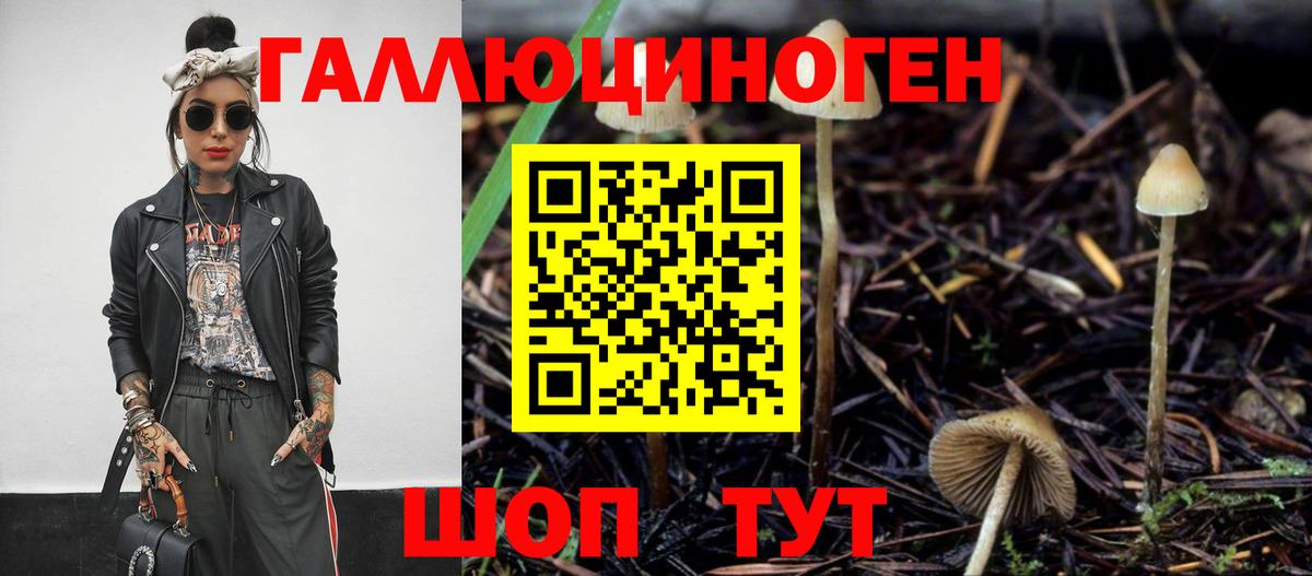 Псилоцибиновые грибы Magic Shrooms  Галлюциногенные грибы Psilocybe  Балашиха 